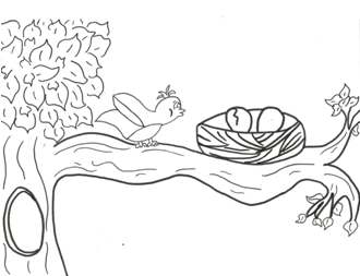 bird next coloring page